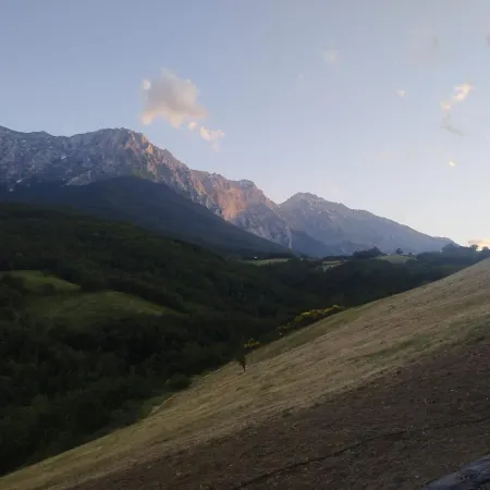Il Ghiro E La Luna Arsita